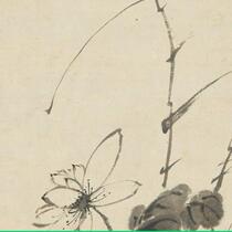 Ming Xu Wei Lotus Picture ultra-high-definition electronic picture decoration spray identification copy Chinese painting material