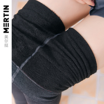 Meierting bottom socks women autumn and winter 800D matte micro-press non-falling lint ankle-length pants socks stepping socks thin leg socks shaping