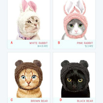 Korean change pet dog cat cat cat cat star Wang Star small animal headdress cat funny hat