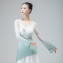 Classical dance performance Gradient National Body Rhyme Performance Professional Female Adult Chinese Dance Dress Dance Clothing Yoga