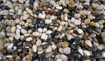 Pebble rain stone natural small stone fish tank scenic pot decorated pot garden color stone 5 kg