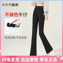 Yiyang do not fade jeans women 2021 Autumn New slim black lady micro horn pants 6923