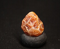 Outer Mongolia surface high relief red tendon Blood Vein blood muscle muscle