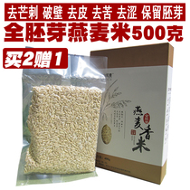 Authentic Inner Mongolia full germ oat rice broken wall peeling to retain germ high quality oat rice grains new goods