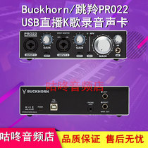 Buckhorn Springbok PRO22 USB recording dubbing live broadcast network celebrity network live broadcast sales K singing sound card