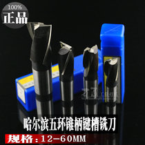 Harbin five-ring taper shank keyway milling cutter 12-50mm tapered shank white steel end mill high speed and high milling cutter drilling machine