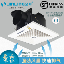 Jinling exhaust fan 8 inch bathroom ceiling pipe ceiling silent exhaust fan BPT10-12-30(P7A)