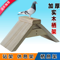 Pigeon habitat stand solid wood plastic habitat rack nest box letter racing pigeon ring pigeon with pigeon supplies pigeon utensils