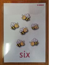 Double-sided Cambridge childrens English word big card Flash card over plastic teacher teaching aids Preparation level 1 Level 2 Level 3