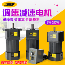  OPG Oubang motor 6W-250W speed regulating motor Single-phase AC 220V micro gear motor