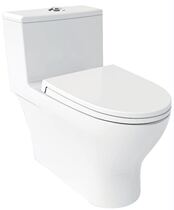 Jiu Mu Siamese toilet 11160
