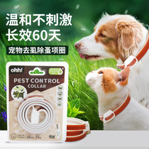 Kitty Insect Repellent Neckline Dog Collar Mosquito Repellent Dog Collar Neck Ring Anti-Flea Ring Cat Ring In Vitro Except Flea Lice Supplies