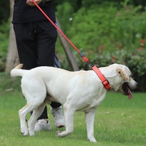 Pooch dog collar dog ring neck ring bibear dog fagle small medium sized large dog neck cover pet large dog neck ring