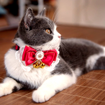 Girl heart Pet cat bow bow tie Bell collar Beautiful short British short cute British handsome gentleman jewelry