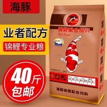 Dolphin koi fish feed dedicated fish food se yang increase kang zeng sports into germ koi sink not muddy water fish feed
