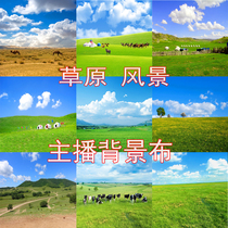 New Mongolia Hulumbert grassland scenery net Red anchor live shooting video segment sub background cloth 3d stereoscopic