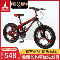 Official flagship Phoenix childrens mountain bike magnesium alloy single-speed variable speed 20-inch male and female student youth bike
