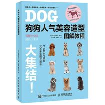 Dog popularity beauty modeling illustration tutorial