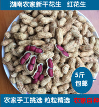 2021 Hunan specialty farmers self-planted new goods dry red peel peanut with Shell raw peanut 5kg