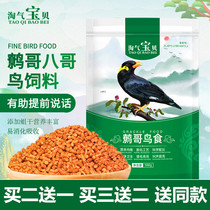 Naughty baby boutique Sagna bird food feed star bird food bird food bird food bird food bird food