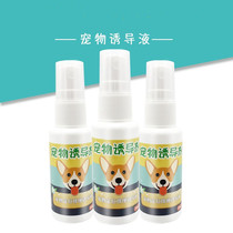 Pet-inducing agent pooch positioning defecation training toilet liquid pet dog toilet fixed point training defecator 30ML