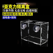 Cave breeding incubator box Fish Tank Isolation plate separator box small fish net guppies juvenile multi-grid isolator ornamental shrimp
