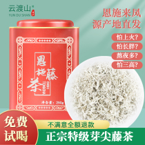 Enshi Laifeng Rattan tea bud tip health tea Dragon beard buds selenium-rich mildew tea premium gift box 250g