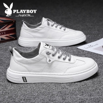 Playboy Mens Shoes Summer Breathable Thin 2021 New Trend Joker Casual Canvas Small White Shoes