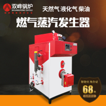 Bimodal gas boiler steam generator Commercial diesel Natural gas steam energy-saving reverse burning Industrial large-scale fuel