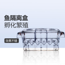 Fish tank separation box incubator box acrylic aquarium breeding box breeding box guppy fish incubator horizontal double grid