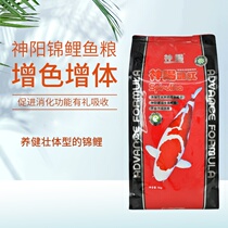 Shenyang koi fish feed goldfish butterfly koi fish food fish feed is not muddy water color special redening