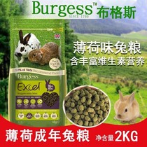Burgess Buggs mint adult rabbit food rabbit staple food 2kg valid until April 22