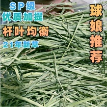 Buy 9 Get 1 pack 21 years import plus mention Timothy grass SP rabbit Dutch pig staple grass molars 500g