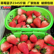 Plastic Bayberry basket Strawberry Basket Egg frame 2kg 3kg 4kg 5kg fruit basket portable Cherry basket