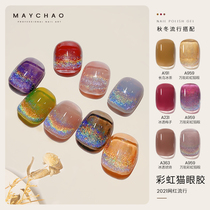 Rainbow cat eye nail polish 2021 autumn and winter New Net red Universal spar Joker colorful laser nail glue