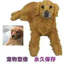 Pet statue dog souvenir cat knead like birthday gift photo golden hair Teddy soft pottery Q version cartoon diy