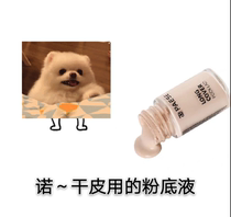 Send beauty eggs Polish PAESE PAESE new version of water moisturizing long-acting Foundation 30ml concealer dry skin