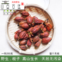 Small Gardenia Yellow Gardenia Wild Mountain Gardenia Tea No Sulfur Shennongjia Nourishing 250g Medicinal 2 pieces