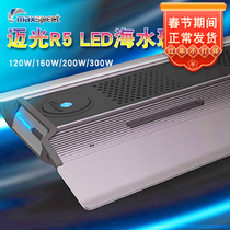 Mai Guang R5 Coral Lamp LED Seawater Sea Tank Lamp