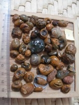 Nine-eyed shale rough stone Eye stone money stone Tianzhu evil inlaid material small ring face pile 69 yuan