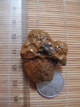 Nine-eyed shale rough stone Eye stone Money stone Pearl to ward off evil spirits to protect the body to spell necklace pendant