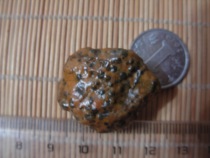 Nine-eyed shale rough stone Eye stone Money stone Pearl to ward off evil spirits to protect the body to spell necklace pendant -- Golden toad