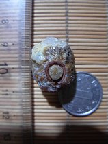 Nine-eyed shale rough stone Eye stone Money stone Pearl to ward off evil spirits to protect the body to spell beads