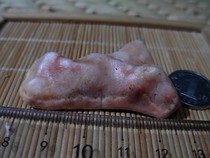 Alashan Gobi Qishi Pictogram stone horse tooth stone Agate rough Gobi Jasper carving material necklace pendant