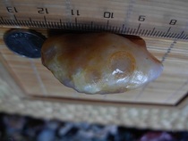 Gobi Agate rough shape Agate carving material Flower eye Agate rough pendant -- fish