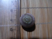 Nine-eyed shale stone eye stone Gold Stone eye beads