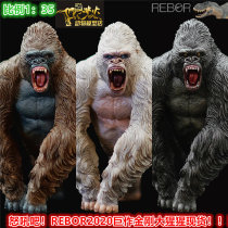 British REBOR child dinosaur model toy King Kong Tyrannosaurus rivals King Kong gorilla rampant behemoth spot