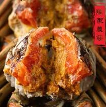 Lujia farm flower carving drunk crab authentic authentic old Wuxi taste slightly spicy wine mellow 3 red cream whole mother