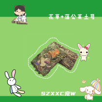 Flower and grass chicory toast tablets balanced nutrition rabbit chinchand guinea pig Hay fire improve immunity 2 tablets