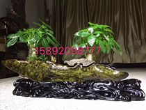 Jinsi Nan wood carving blessing in front of peony flowers and birds Phoenix Ebony animal crafts figure shady wood root carving
